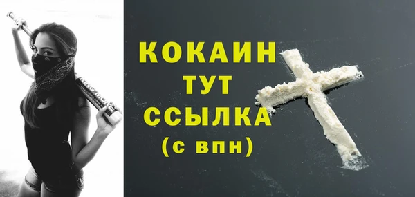 скорость Няндома