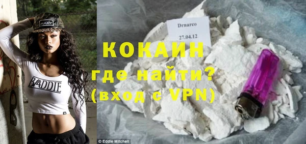 бошки Новодвинск