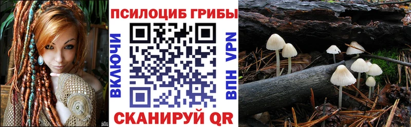 Псилоцибиновые грибы Psilocybine cubensis  Фролово 