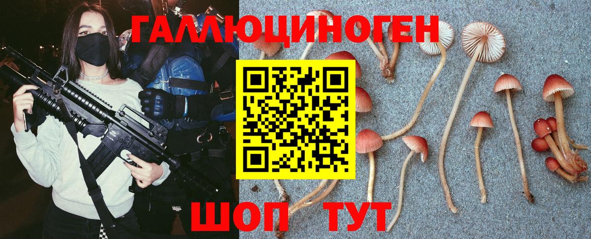Фролово  Галлюциногенные грибы Psilocybe  Вход с VPN 
