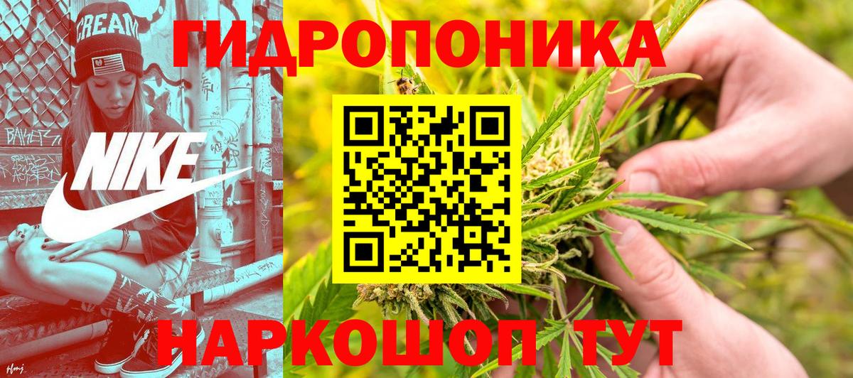 Марихуана конопля Фролово